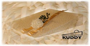 Kuddy